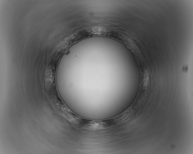 X0000115430569200911181503