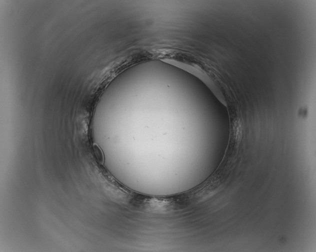 X0000115430570200911181503