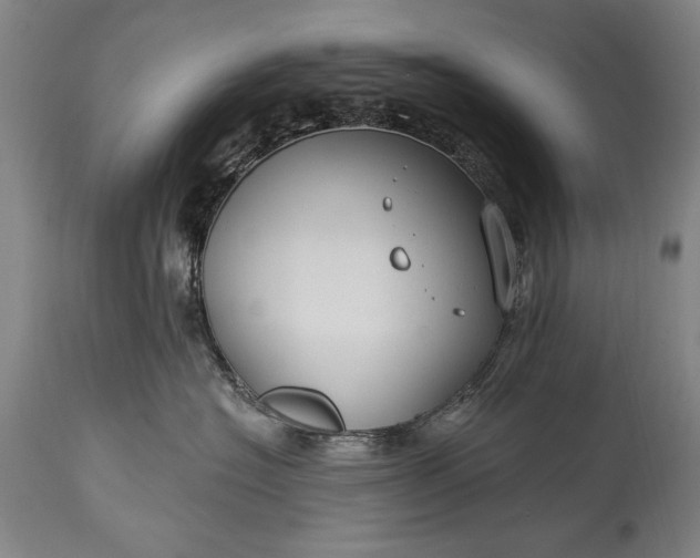 X0000115430574200911181503