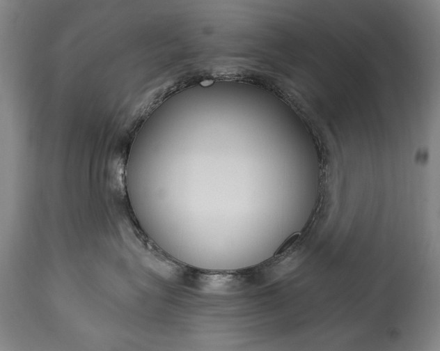 X0000115430575200911181503