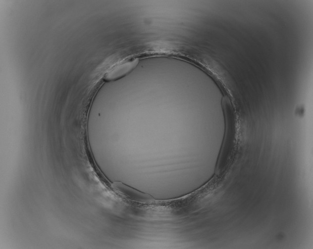 X0000115430577200911181503