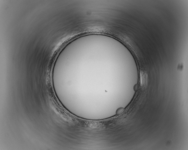 X0000115430579200911181503