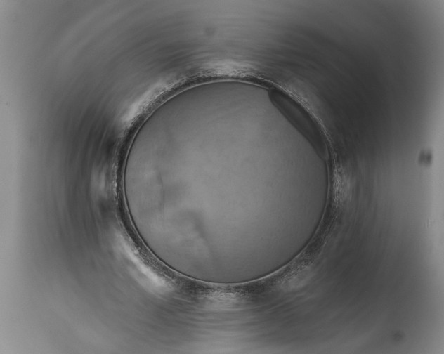 X0000115430581200911181503