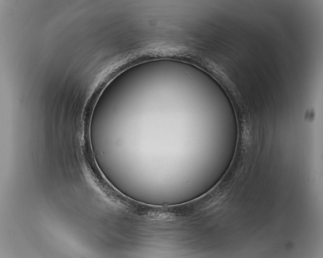 X0000115430582200911181503