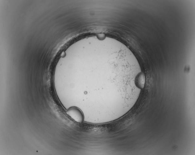 X0000115430584200911181503