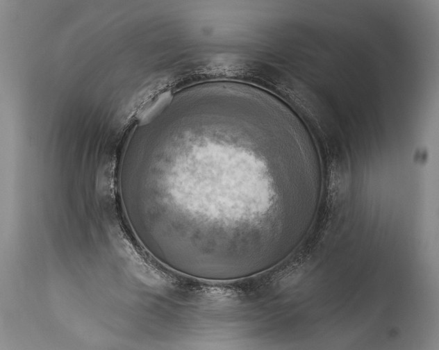 X0000115430585200911181503