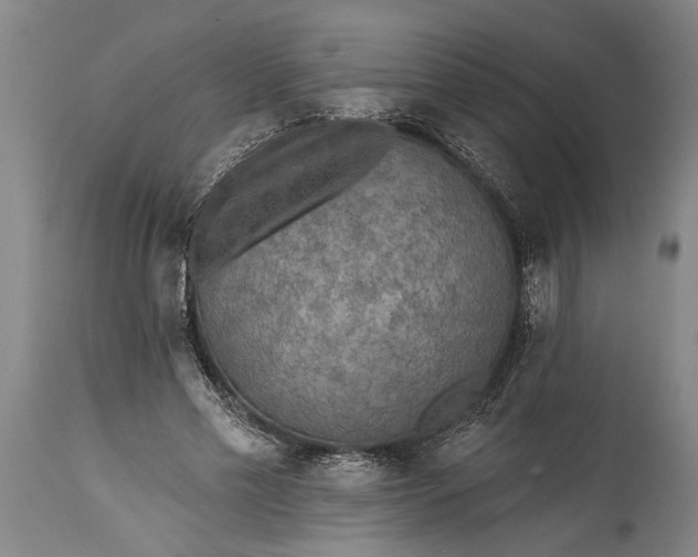 X0000115430589200911181503