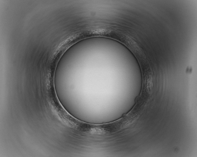 X0000115430591200911181503