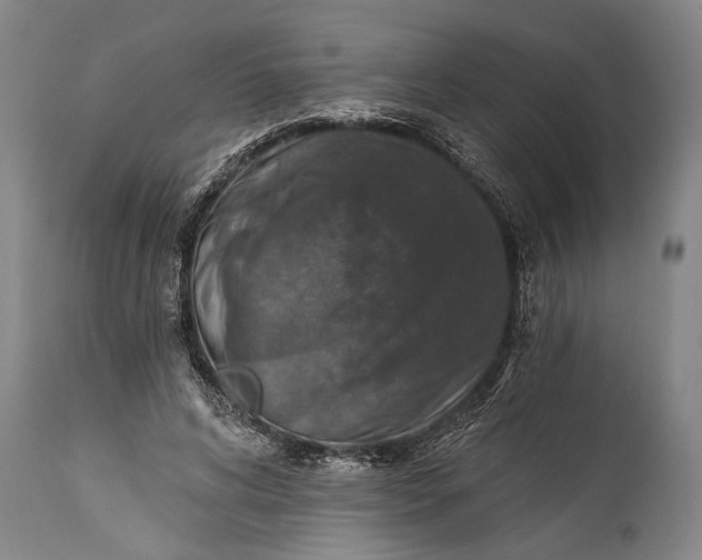 X0000115430592200911181503