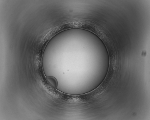 X0000115430594200911181503