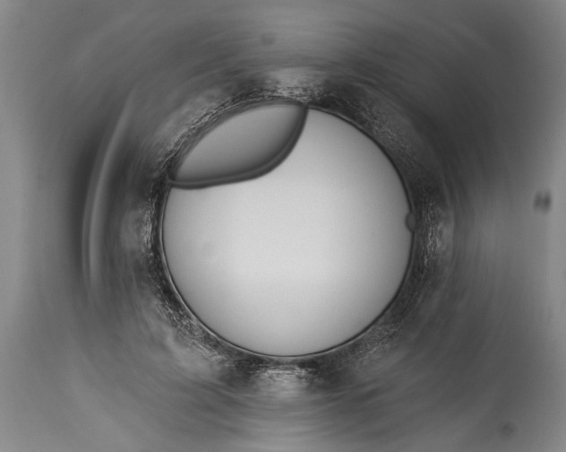 X0000115430595200911181503