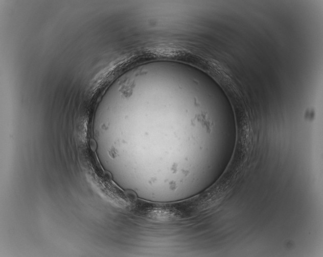 X0000115430596200911181503