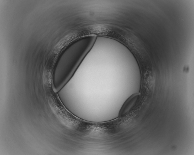 X0000115430597200911181503