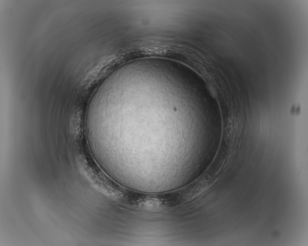 X0000115430600200911181503