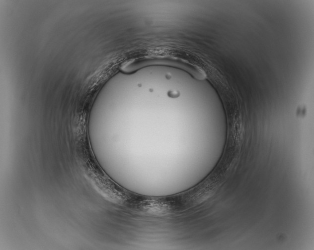 X0000115430601200911181503