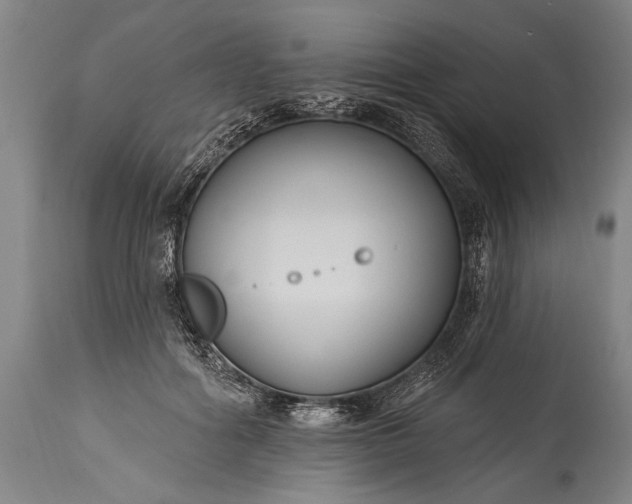 X0000115430602200911181502