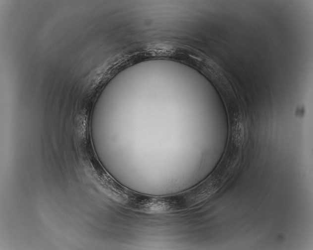 X0000115430604200911181502