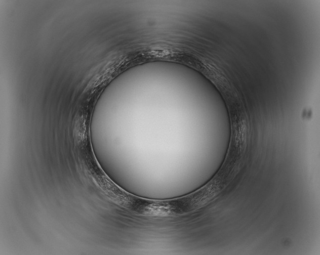 X0000115430606200911181502