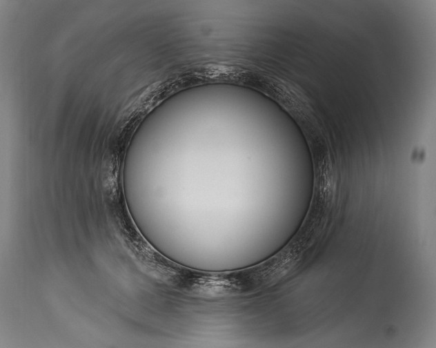 X0000115430607200911181502