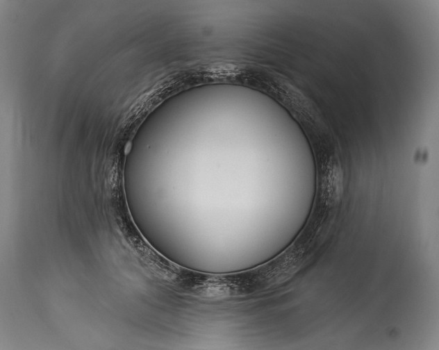 X0000115430608200911181502