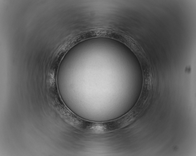 X0000115430610200911181502