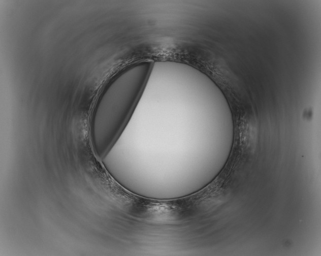 X0000115430611200911181502