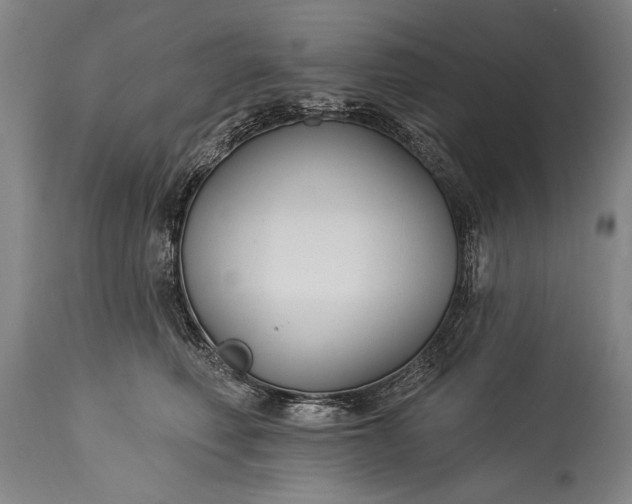 X0000115430614200911181502