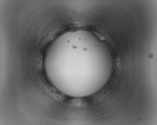 X0000115430615200911181502