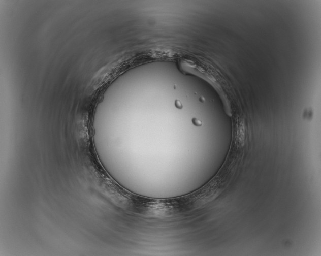 X0000115430616200911181502