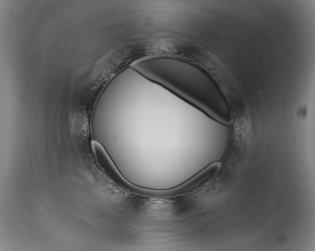 X0000115430617200911181502