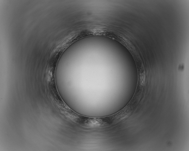 X0000115430618200911181502