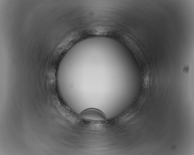 X0000115430620200911181502