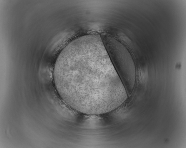 X0000115430621200911181502