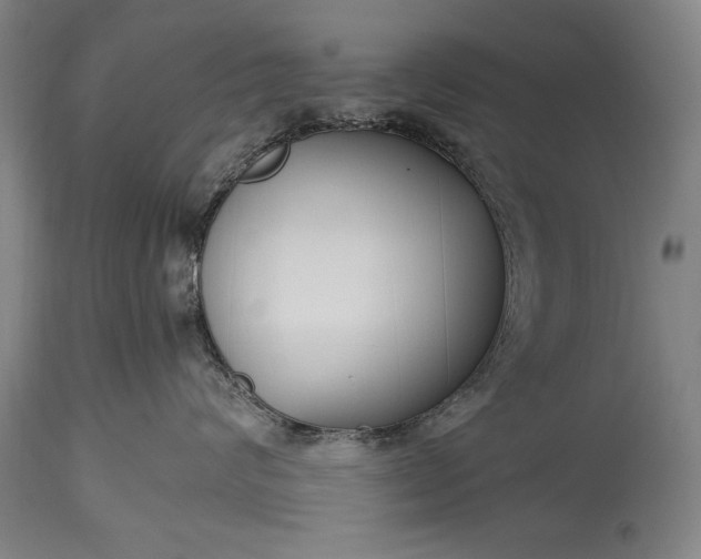 X0000115430624200911181502