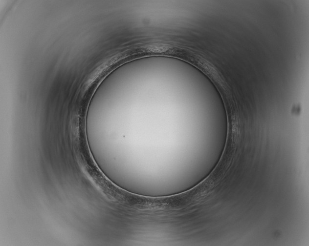 X0000115430626200911181501