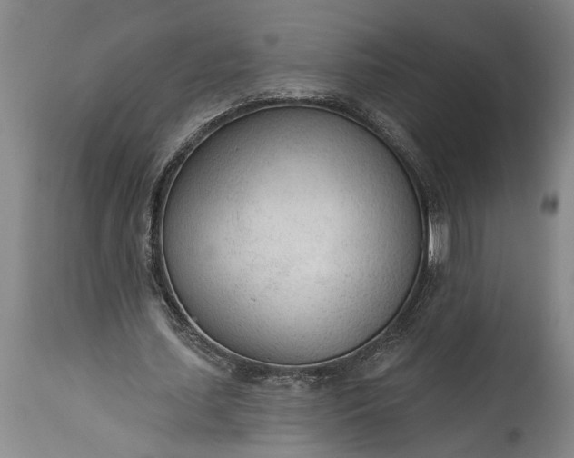 X0000115430627200911181501