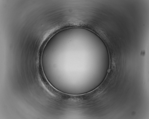 X0000115430630200911181501