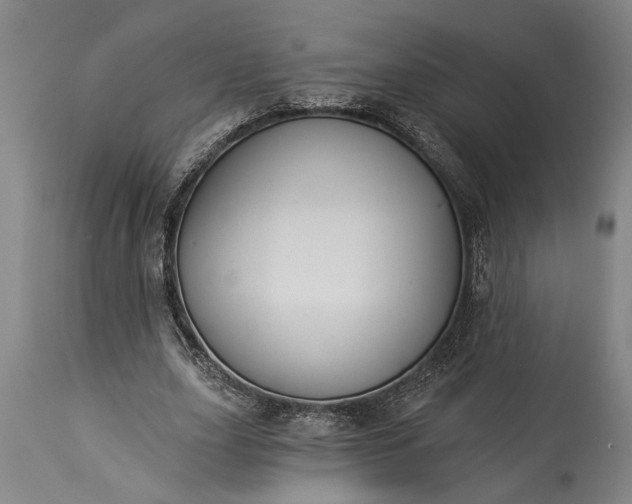 X0000115430631200911181501