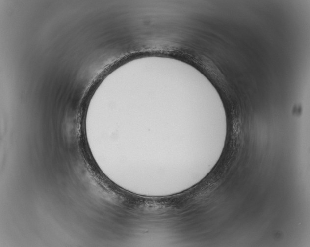 X0000115430632200911181501