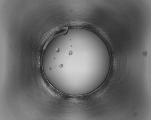 X0000115430633200911181501