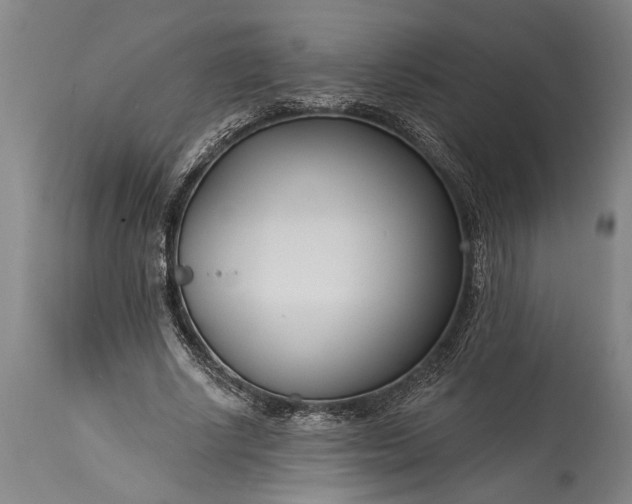 X0000115430634200911181501