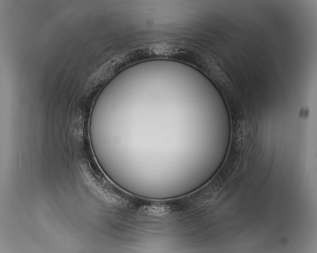 X0000115430639200911181502