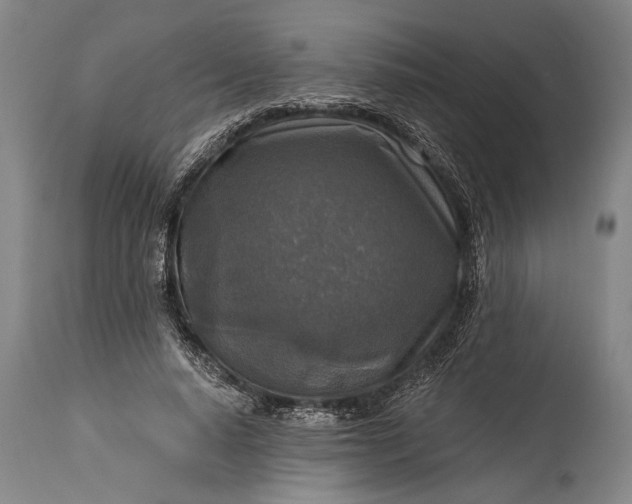 X0000115430640200911181502