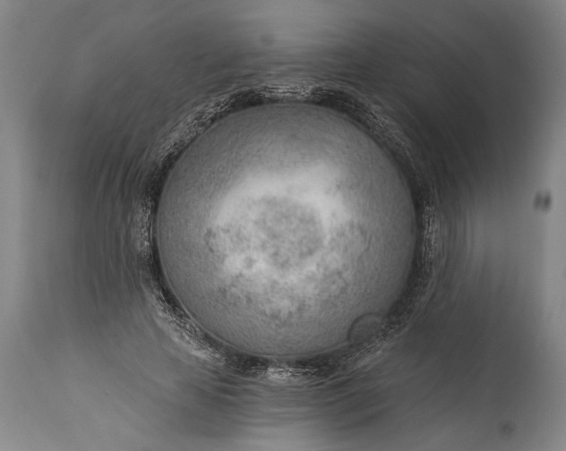 X0000115430641200911181502