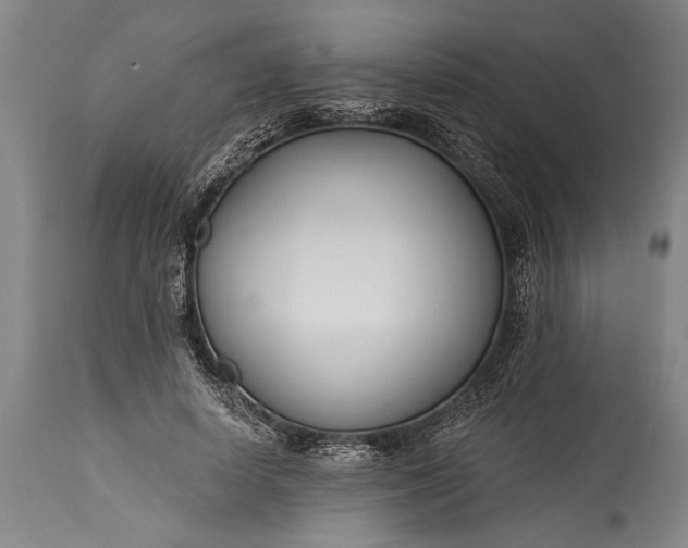 X0000115430642200911181502