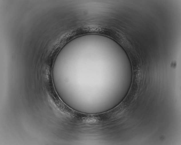 X0000115430643200911181502