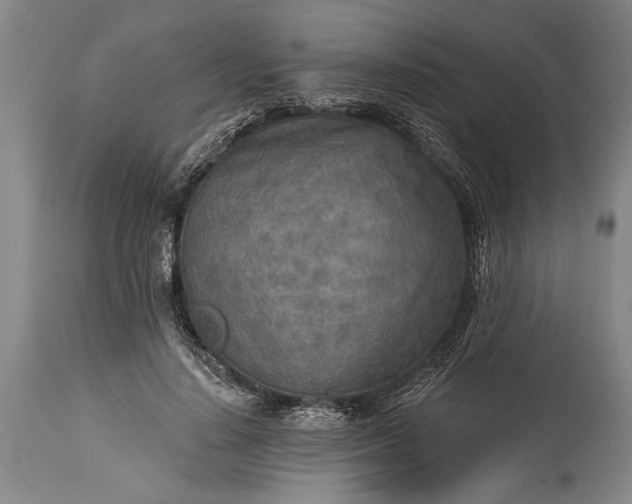 X0000115430644200911181502