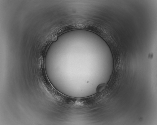 X0000115430647200911181502