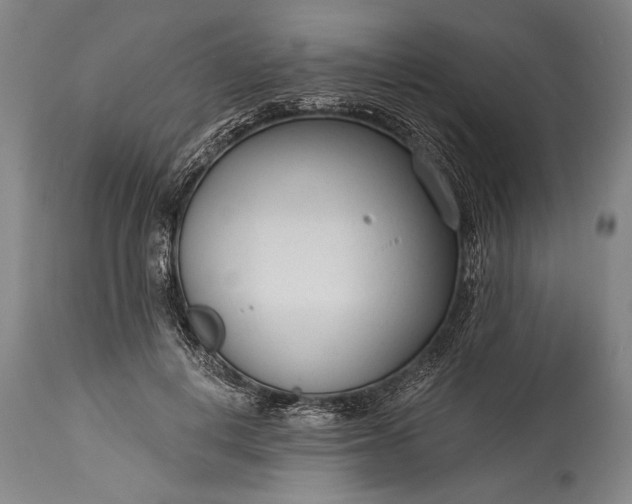 X0000115430648200911181502