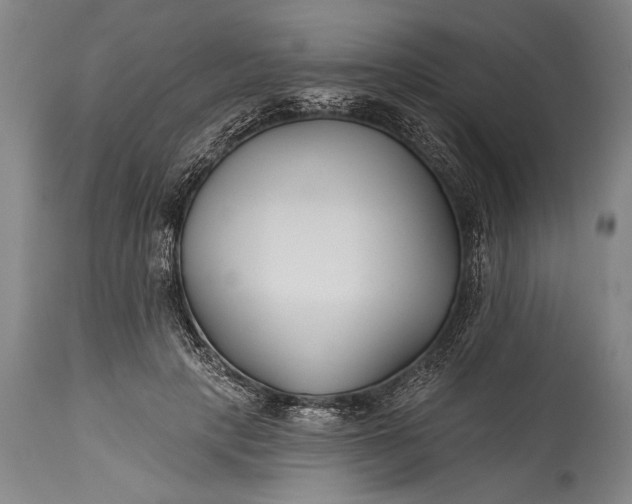 X0000115430649200911181502